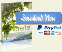 Download Now Button