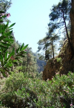 Agia Irini Gorge (image by Xamogelo)