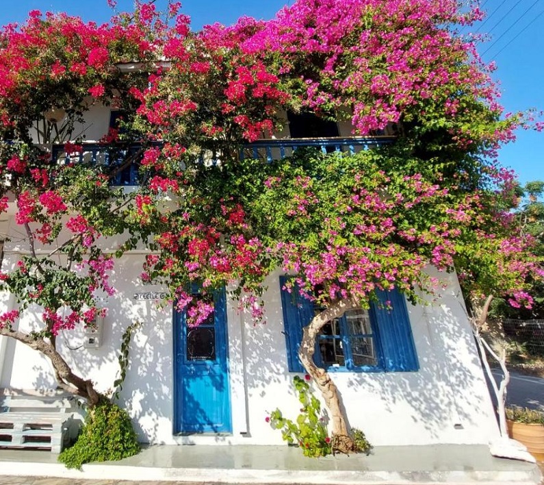 Chez Cecile Mochlos Crete