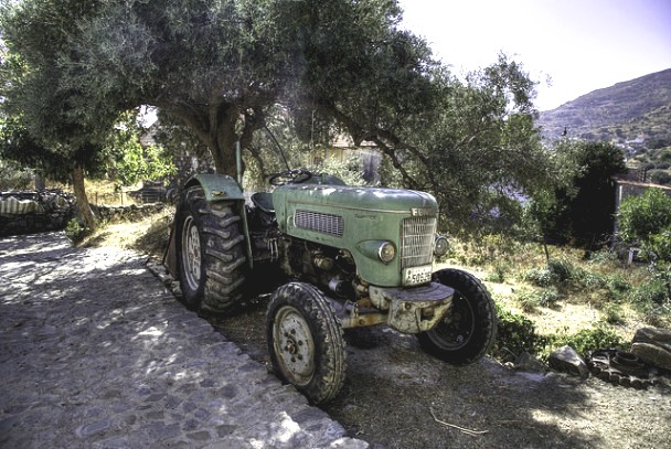 Agriculture is the main activity around Palaiochora (image by Simon Harrod)