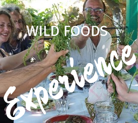 Wild Food Foraging Experience