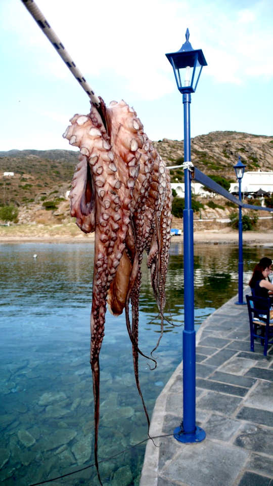 Octopus by the Limani, Ios, Greece (image by The Next Web)