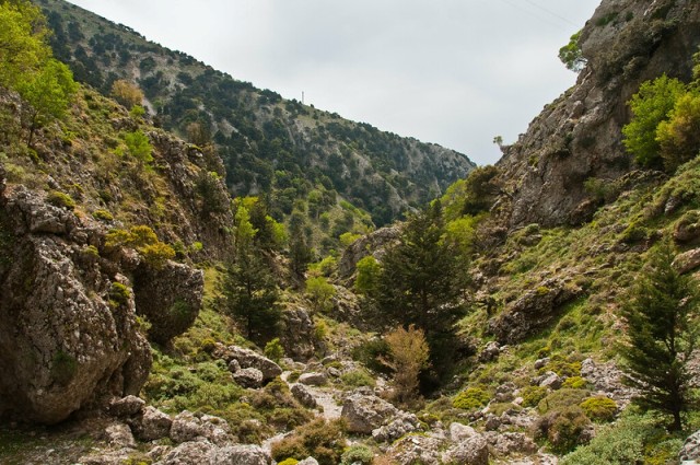 Imbros Gorge, near the entrance the gorge starts out quite wide (image by Graeme Churchard)