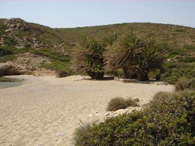 Crete Beach - Hidaway near Itanos