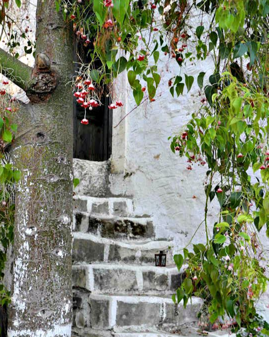 Steps to a small romantic village home (image by Mark Latter)