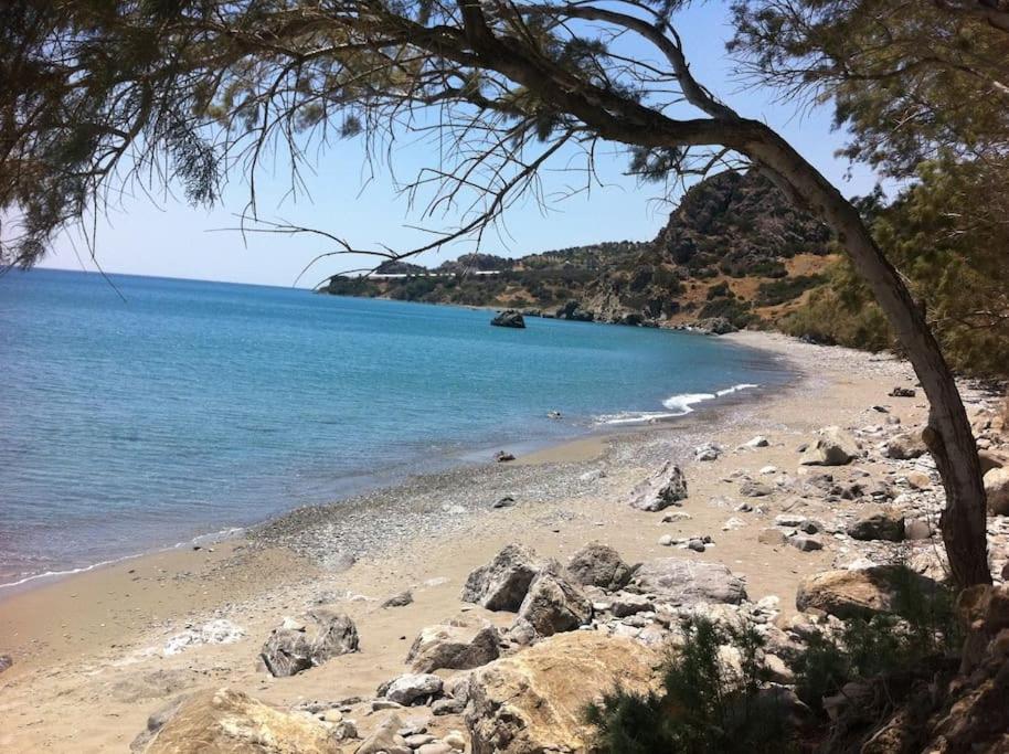 Keratokambos Beach - Tamarisk Tree and shade by the water