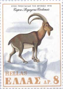 Kri Kri goat depicted on a stamp