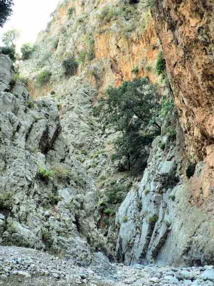 Kritsa Gorge in eastern Crete