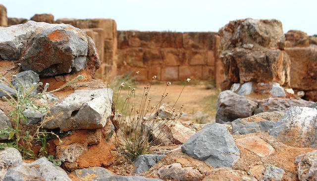 Ruins and flowers, memories of ancient times (photo by Alexander Baranov)