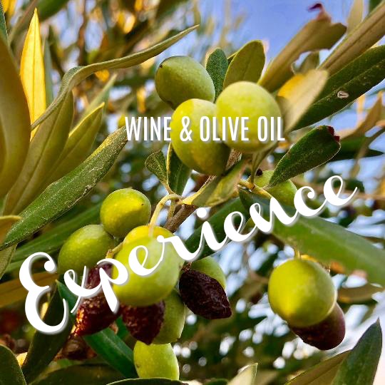 Wine & Olive Oil Experience