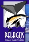 Pelagos Logo