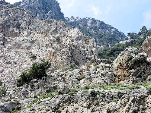 Rouvas Gorge in Crete Rouvas Gorge in Crete