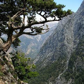 Samaria Gorge, Sfakia (image by Sanderovski)