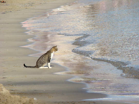 Looking at the sea, Crete by P. León