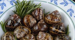 Snails in Rosemary - here called Chochlious boubouristous Xοχλιούς μπουμπουριστούς.
