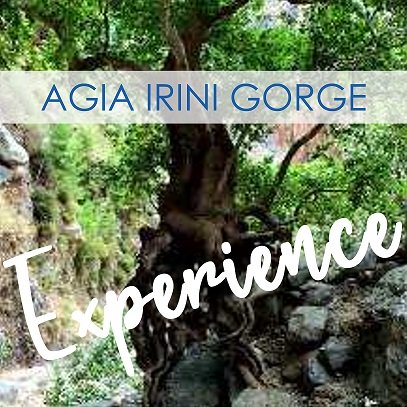 Agia Irini Gorge Experience - Chania Crete