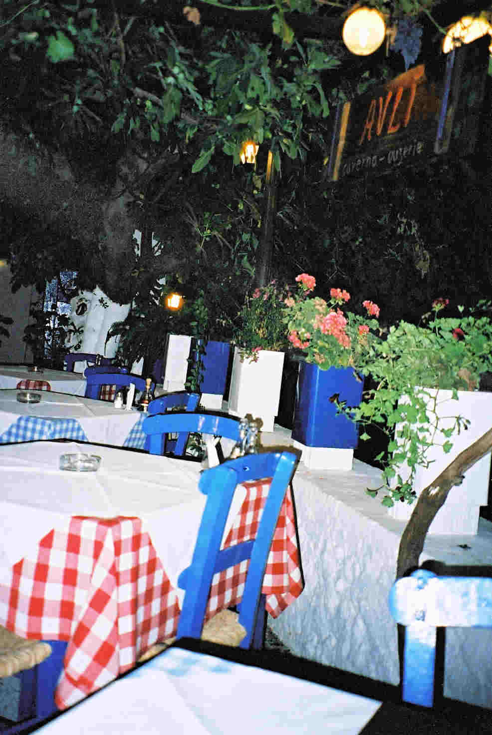 Traditional Greek Taverna