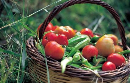 The Cretan Diet - a basket of fresh vegetables