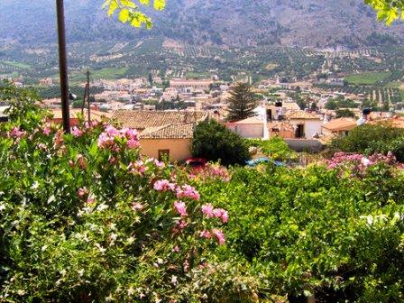 Archanes view with flowers