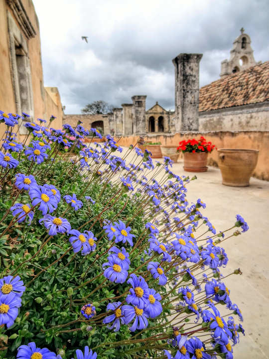 Arkadi Monastery Garden - Crete (image by Roberto Strauss)