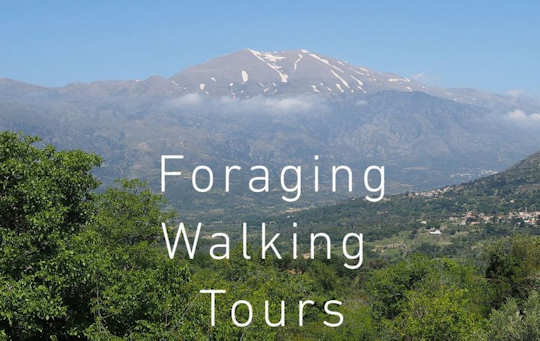Visit Vasillis at the village taverna of Castello - take a foraging tour and eat traditional Cretan food here