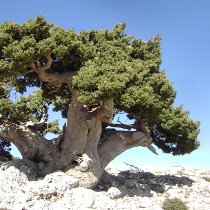 Lefka Ori, White Mountains Crete (image by Aori Walks)