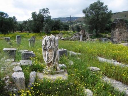 Γόρτυνα, roman ruins - green grass and daffodils all over the site (image by Salvatore Mugllett)