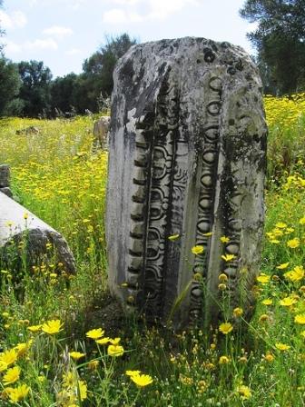 Gortyna, roman ruins in green grass and yellow flowers (image by Salvatore Mugllett )