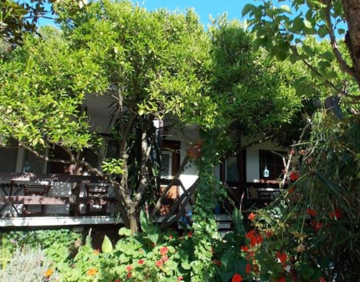 Agnontas Port in Skopelos - garden pension