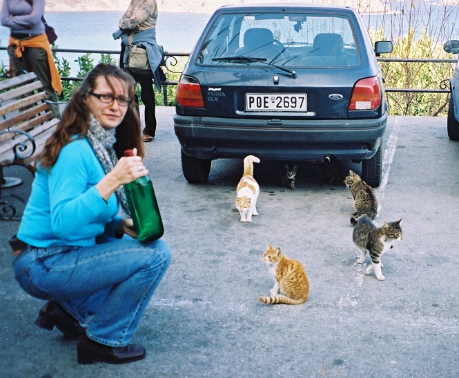 Greek cats tsipouro