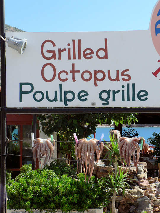 Grilled Seafood Sign and fresh octopus drying in the sun (image by James Preston)