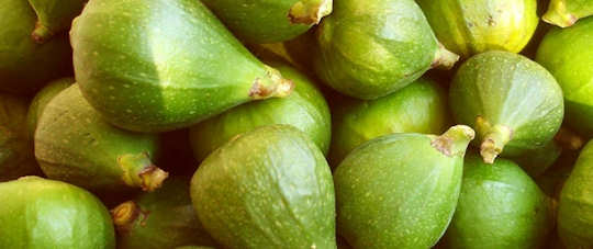 Fresh green figs