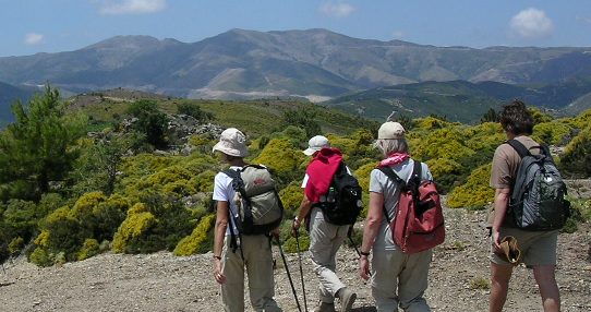 Hiking group in the foothills