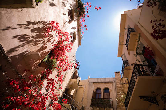 Crete Flowers - Chania Old town (image by Okko Pyykkö)