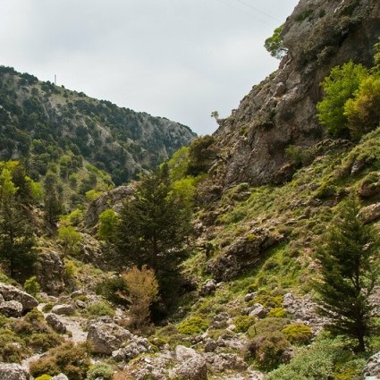 Imbros Gorge, Crete (image by Graeme Churchard)