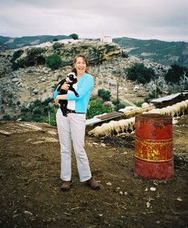 Sheep and lambs outside Venerato, Crete