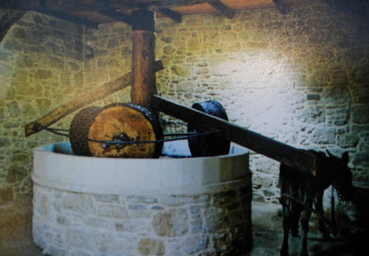 An image inside the exhibition shows how the donkey was tethered to the olive press to rotate the three crushing stones as she walked around and around in a circle (image by Mark Latter)