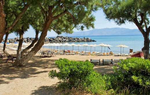 View through the trees to the Beach and Bay