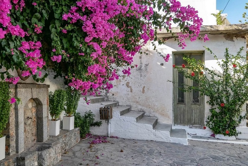 Kritsa Street and Spring, Crete