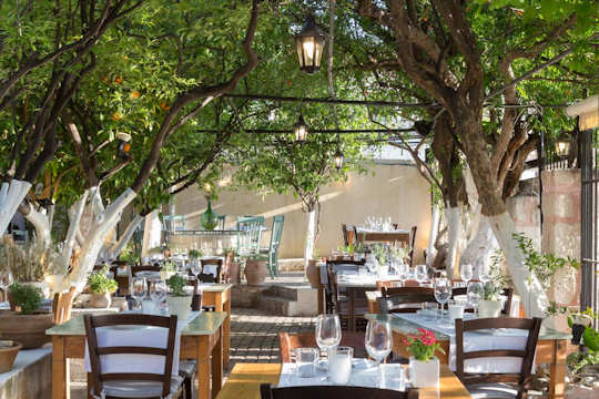 Lemonokipos Restaurant, Rethymnon, the name means 'Lemon Garden'