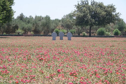 Cemetary commemorating WWII