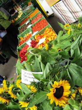 Lake side markets in Zurich - fresh fruit and flowers - sunflowers