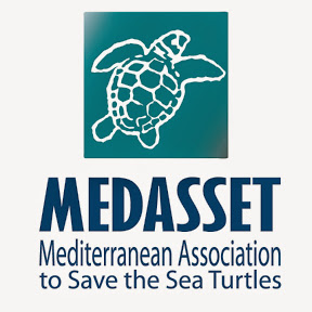 Mediterranean Association to Save the Sea Turtles Logo
