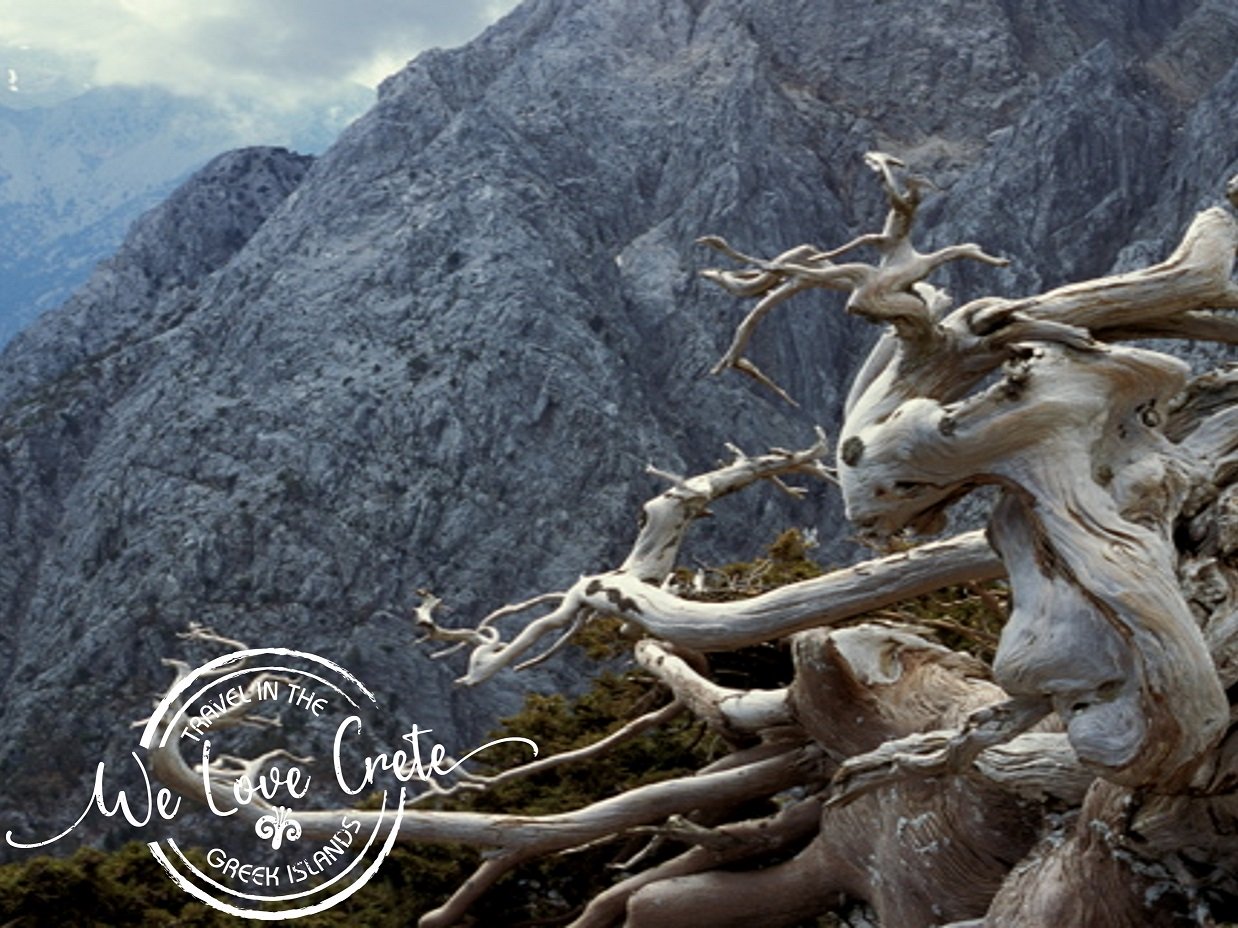 Sculptures of nature and Mount Gingilos (image Mark Latter)