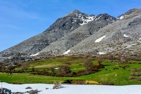 Nida Plateau with spring colours (image by Vasileios Garganourakis)