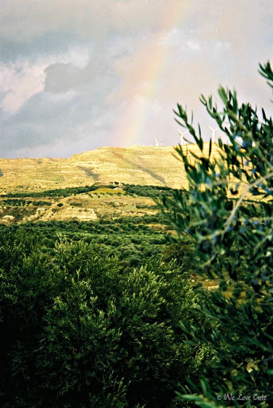 Rainbow over the groves - Central Crete