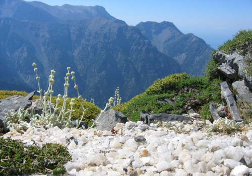 The granite rocks of the White Mountains in Crete (image by Aori Walks)