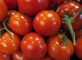 Red tomatoes