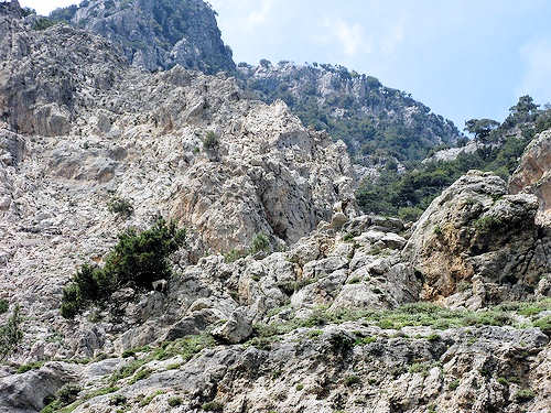 Rouvas Gorge in Central Crete