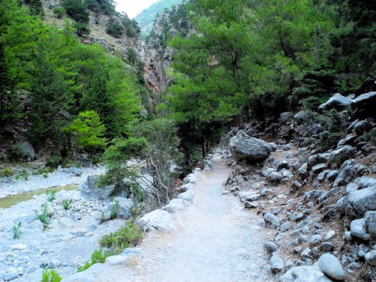 Walking path next to the creek (image by Mark Latter)